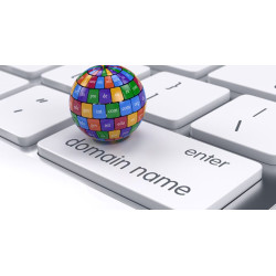 Domain Registration