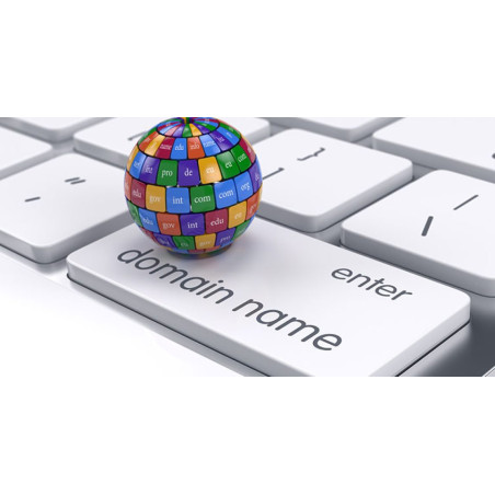 Domain Registration