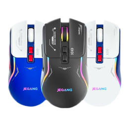 Jeqang Wireless Mouse