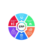 Consulting services on programs suitable for your business